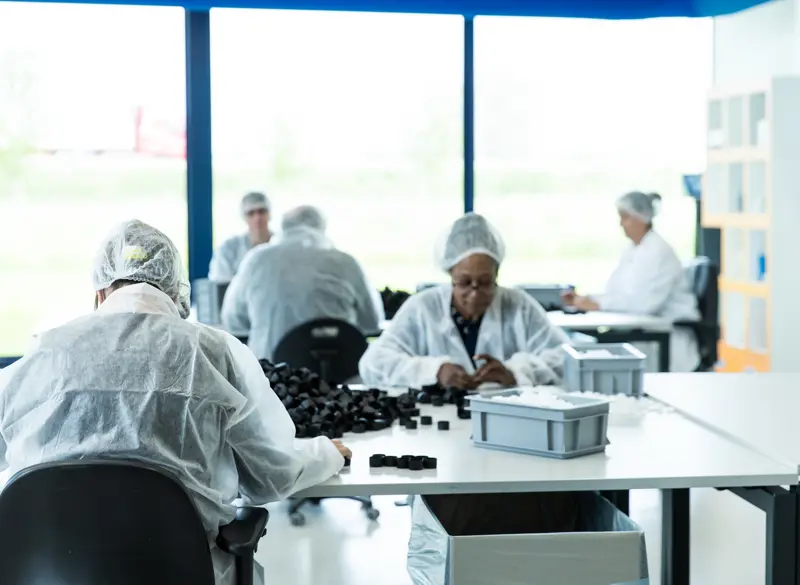 Stage en Banenmarkt - Gelredome